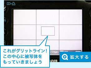 これがグリットライン！ この中心に被写体を もっていきましょう