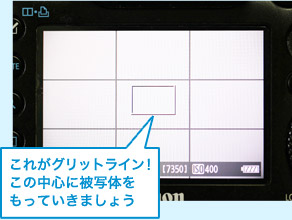 これがグリットライン！ この中心に被写体を もっていきましょう