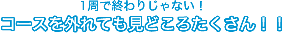 1周で終わりじゃない! コースを外れても見どころたくさん!!